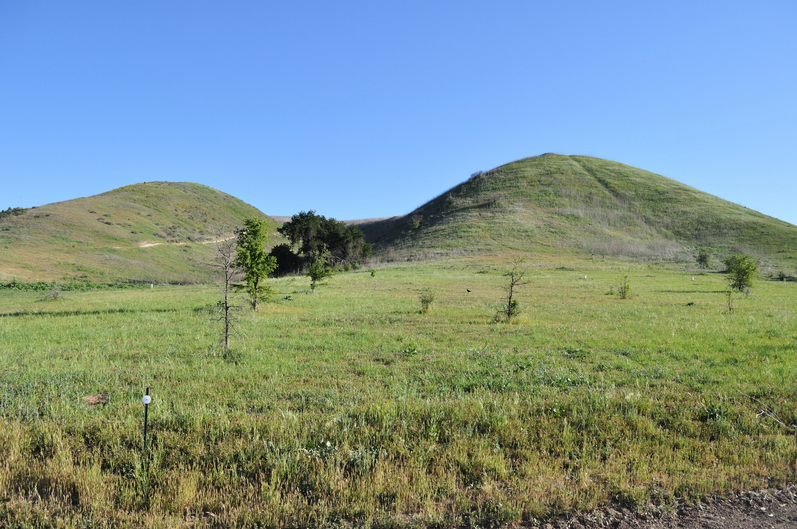An image depicting the trail Doubletree Connector, Palo Comado Canyon and Ranch Center Loop Trail and its surrounding area.