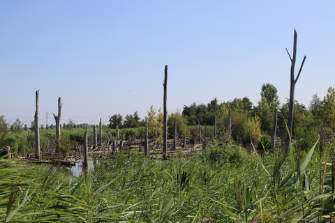 Vakantiepark Bijde Bronnen Loop