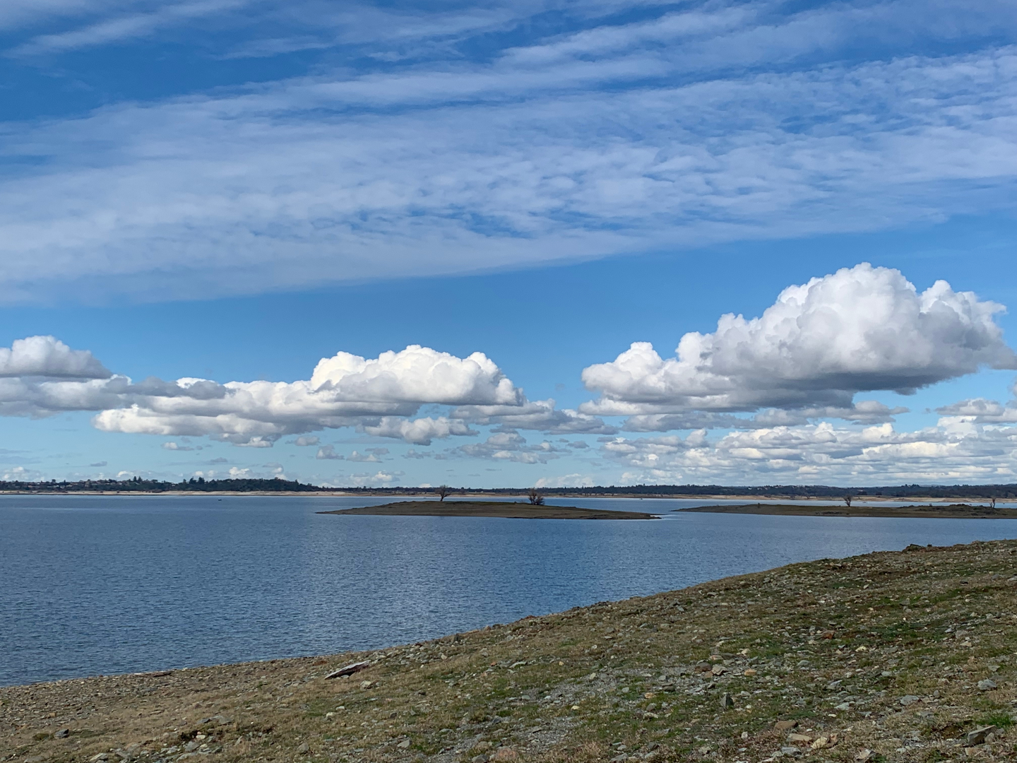 An image depicting the trail American River via Shady Trail and its surrounding area.