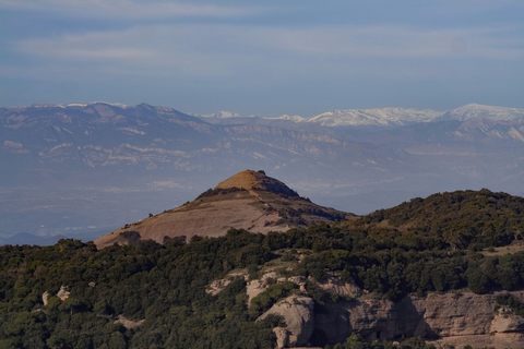 An image depicting the trail From Can Robert to La Mola SL C 50 and its surrounding area.