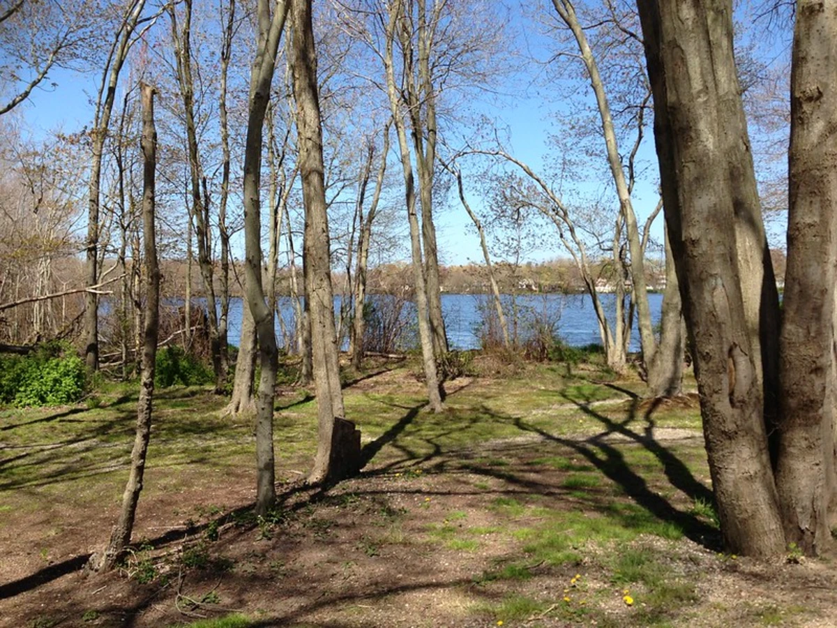 Southards Pond and Belmont Lake State Park Loop Trail