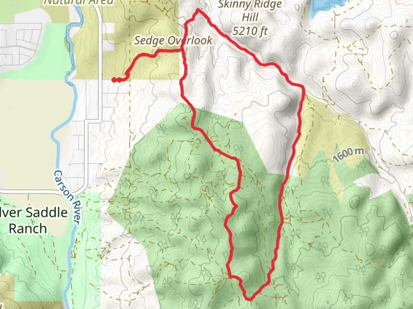 An image depicting the trail Sedge Overlook Loop and its surrounding area.