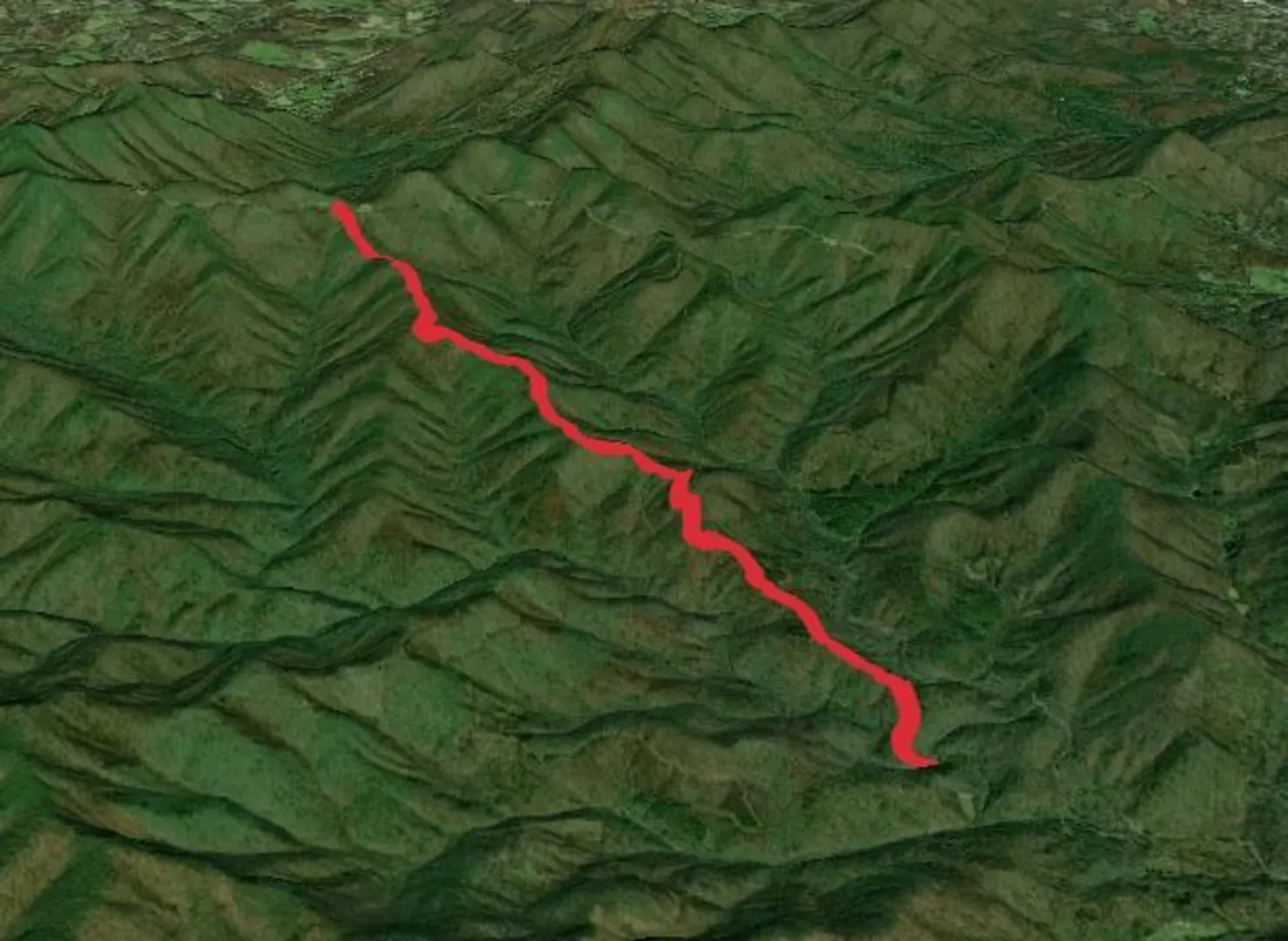 An image depicting the trail Trace Ridge Trail and its surrounding area.