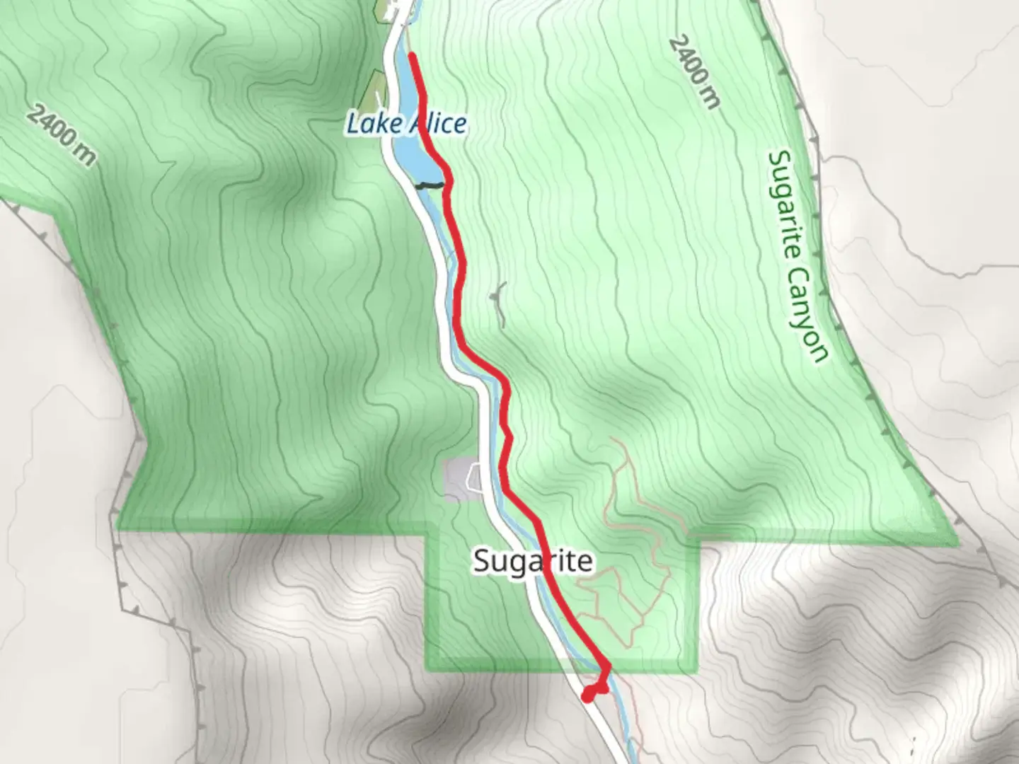 An image depicting the trail Lake Alice via Chicorica Trail and its surrounding area.