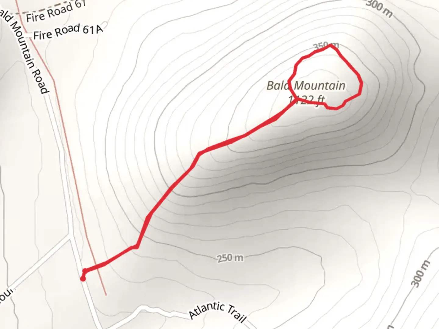 An image depicting the trail Bald Mountain from Johnson Road and its surrounding area.