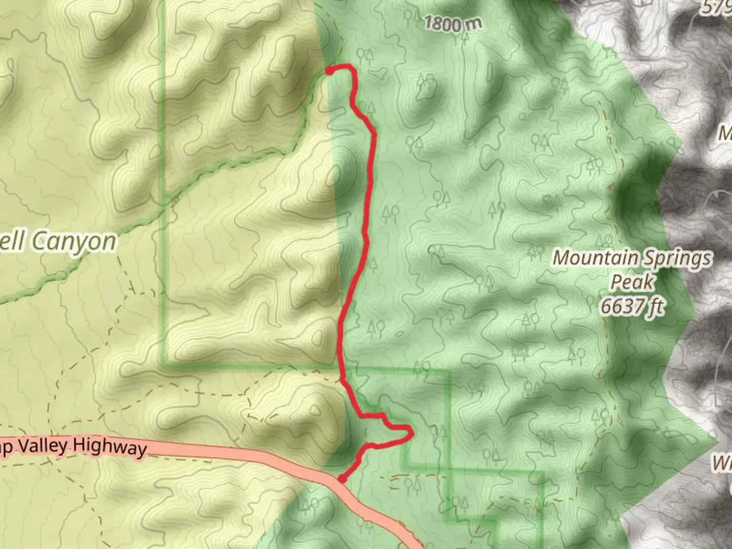 An image depicting the trail Mountain Springs - Bootleg Spring Road and its surrounding area.