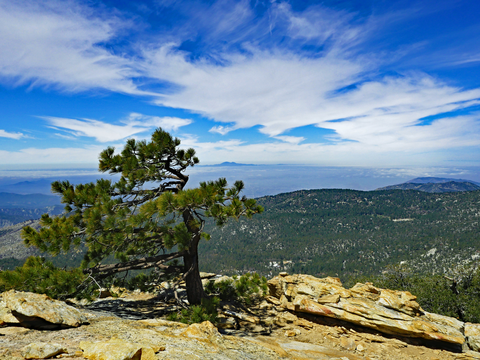 An image depicting the trail Little Tahquitz Valley via Devils Slide Trail and its surrounding area.