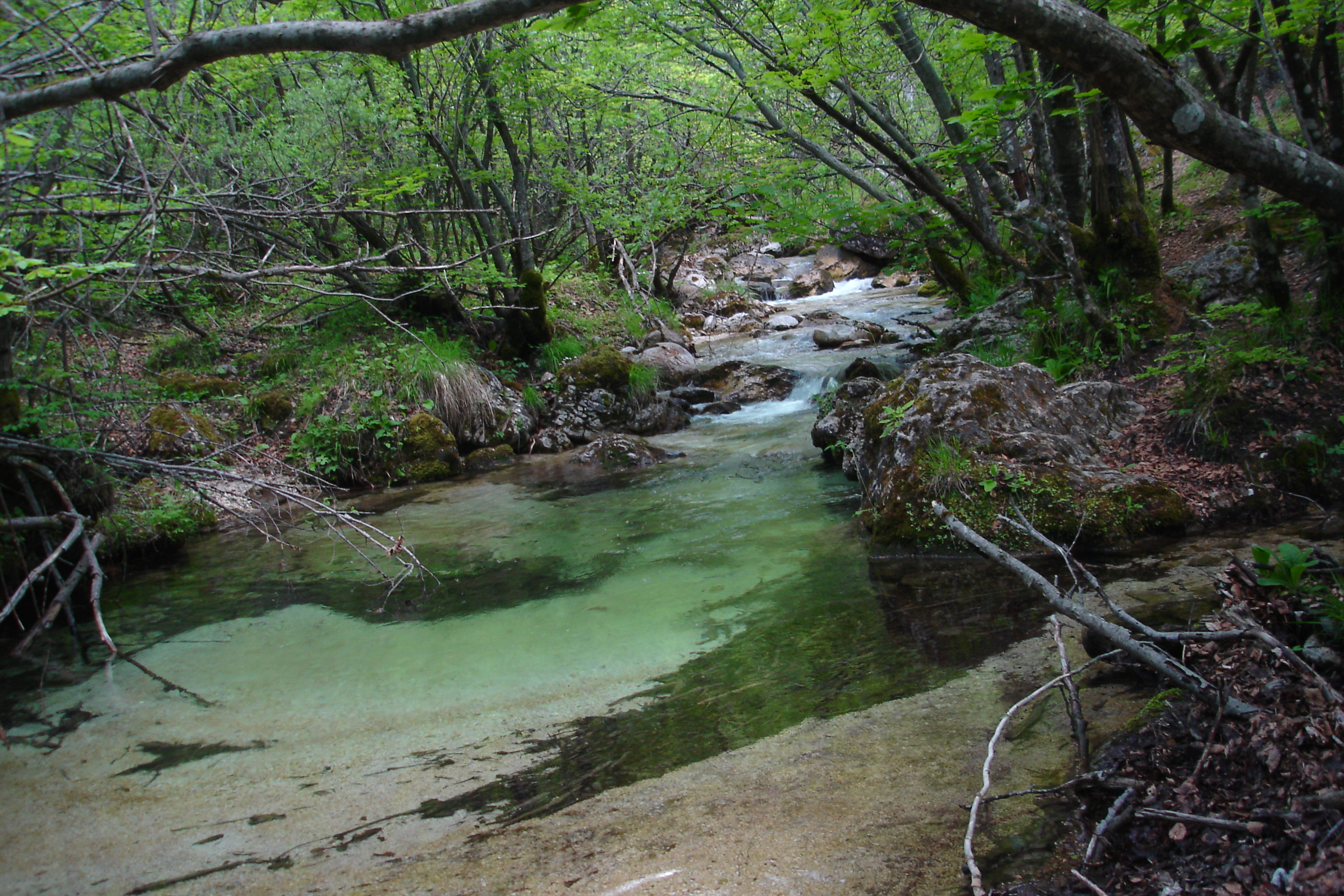 An image depicting the trail Abruzzo, Lazio and Molise National Park and its surrounding area.