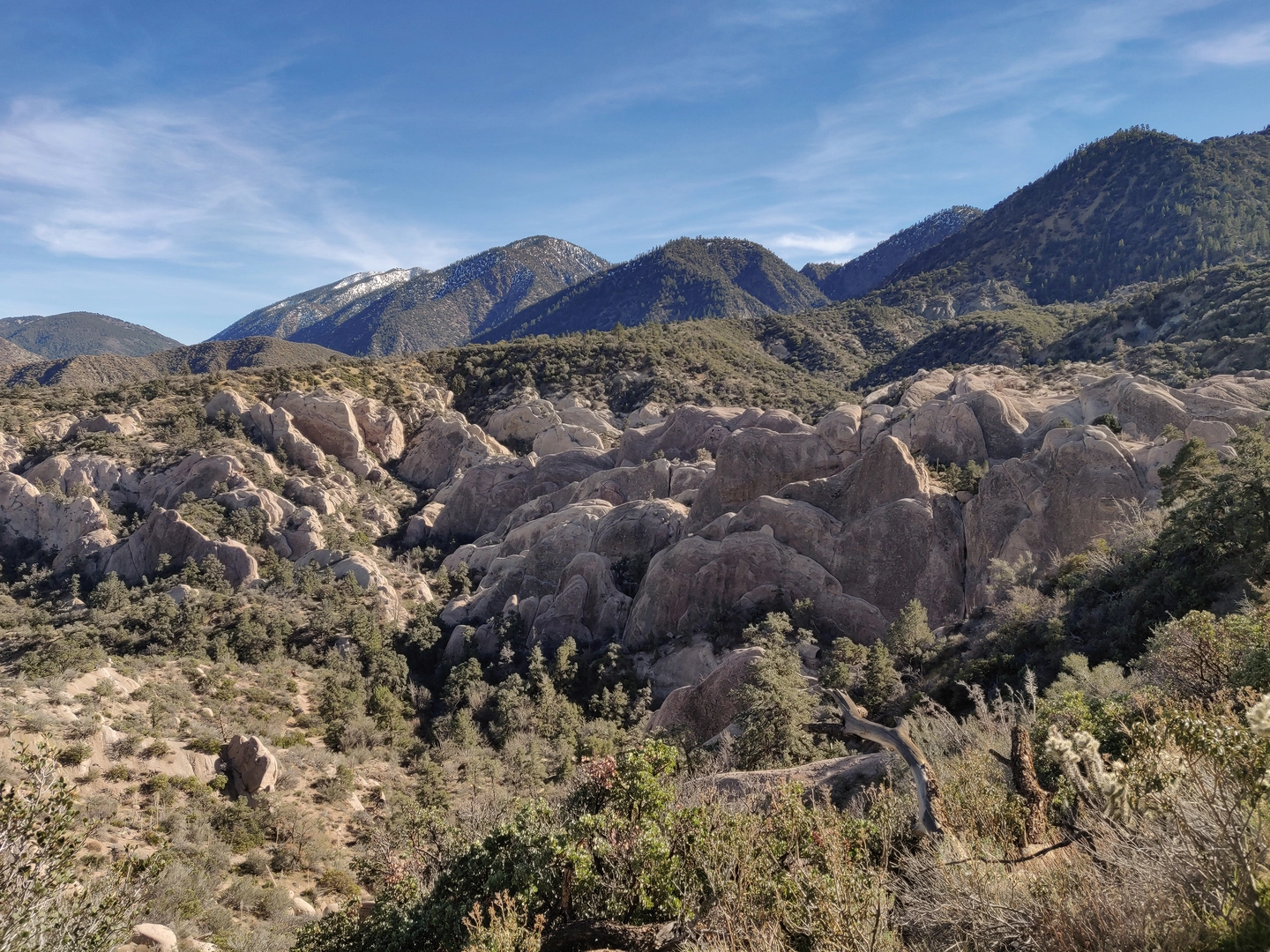 An image depicting the trail Devils Punchbowl Road Loop and its surrounding area.