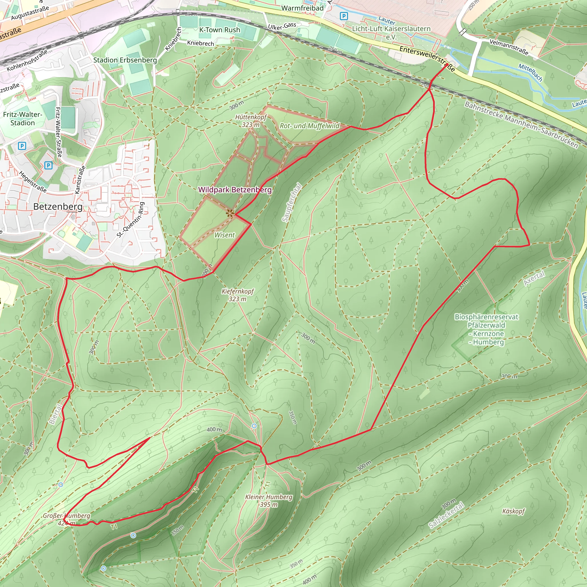 Humbergturm Loop via König Albrecht Wanderweg mobile static map