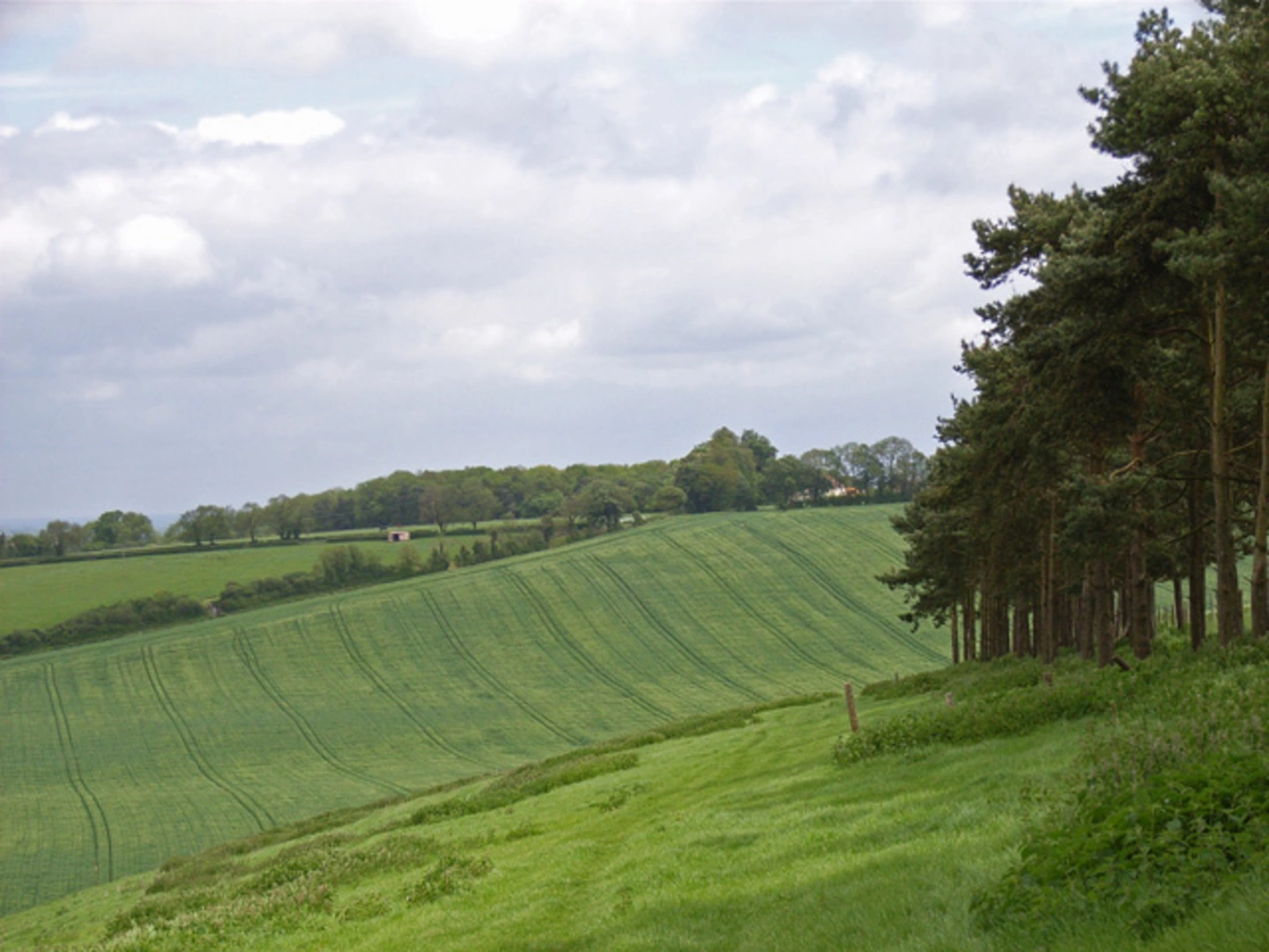 An image depicting the trail Freemantle Down Park to Old Down Park Walk and its surrounding area.