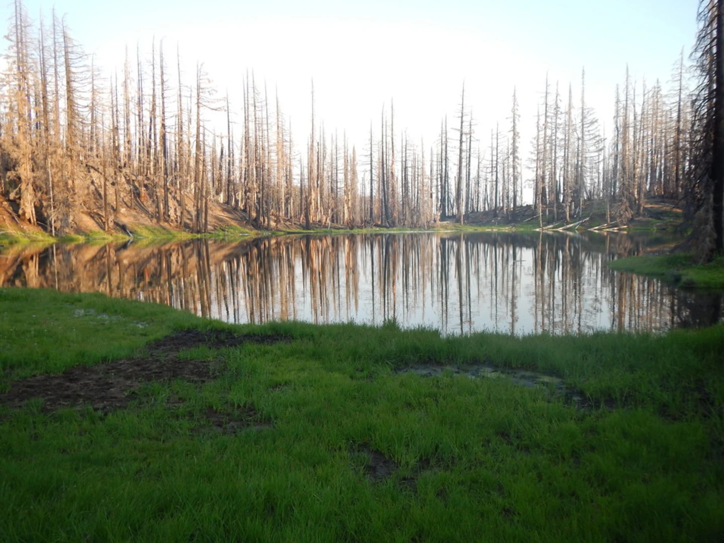An image depicting the trail Stagman Ridge Trail and its surrounding area.