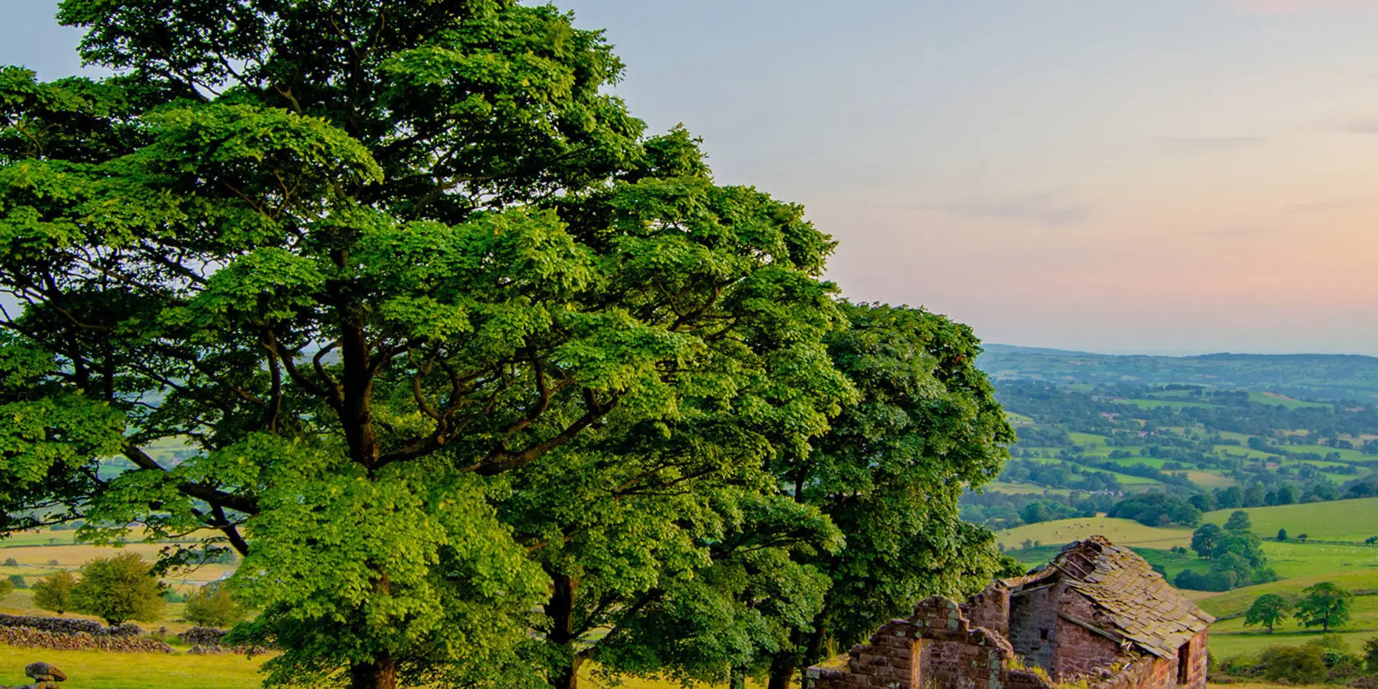 An image depicting the trail Roach End - Gradbach Wood and its surrounding area.