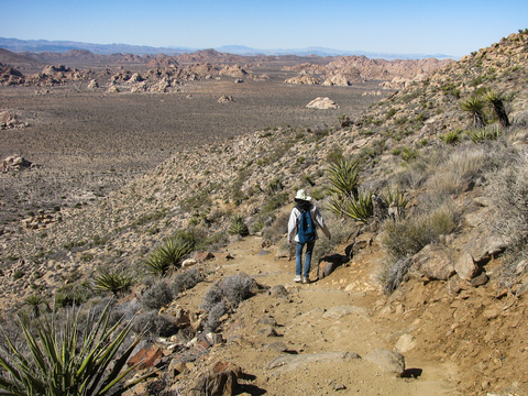 An image depicting the trail Ryan Mountain Trail and its surrounding area.