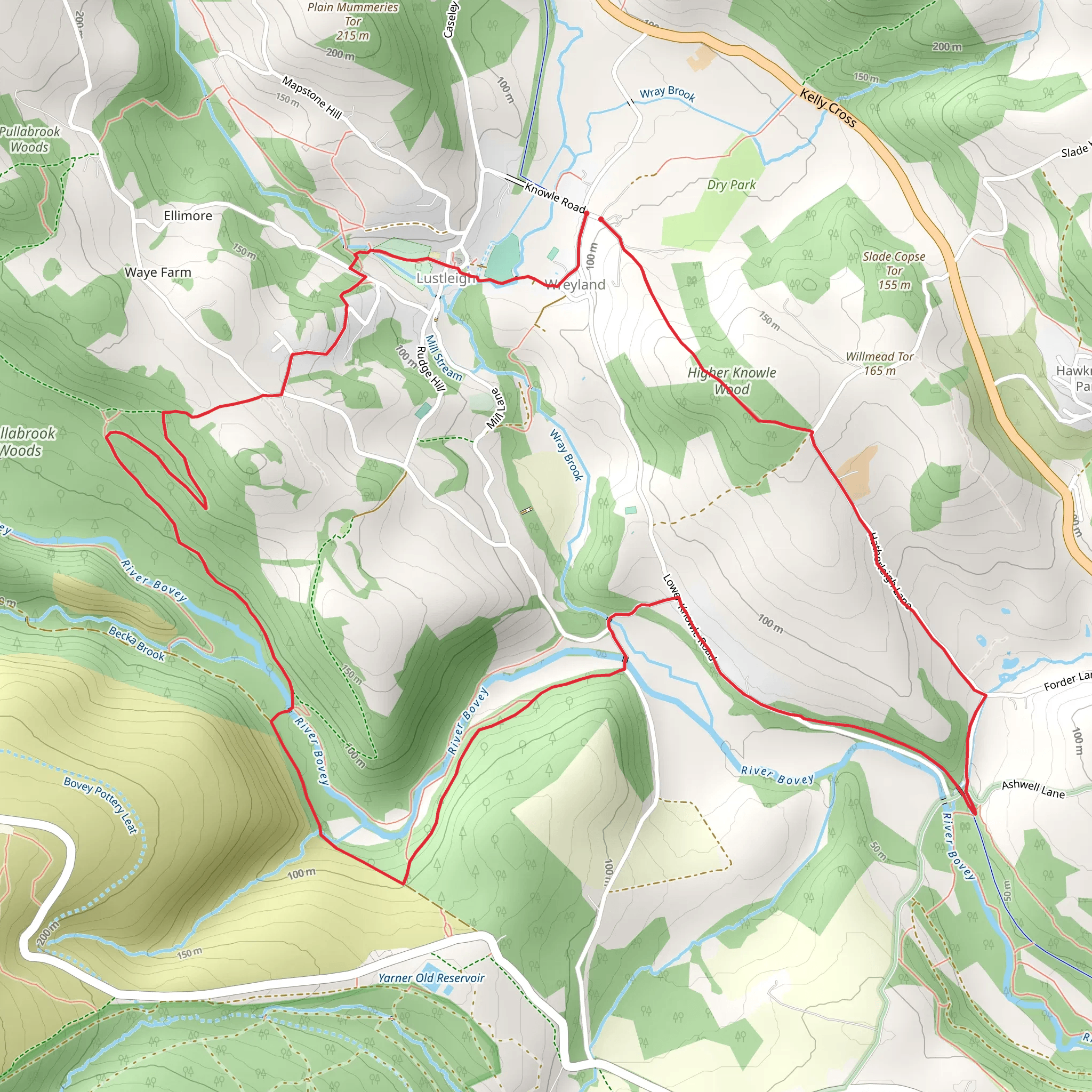 Wreyland Circular Walk mobile static map