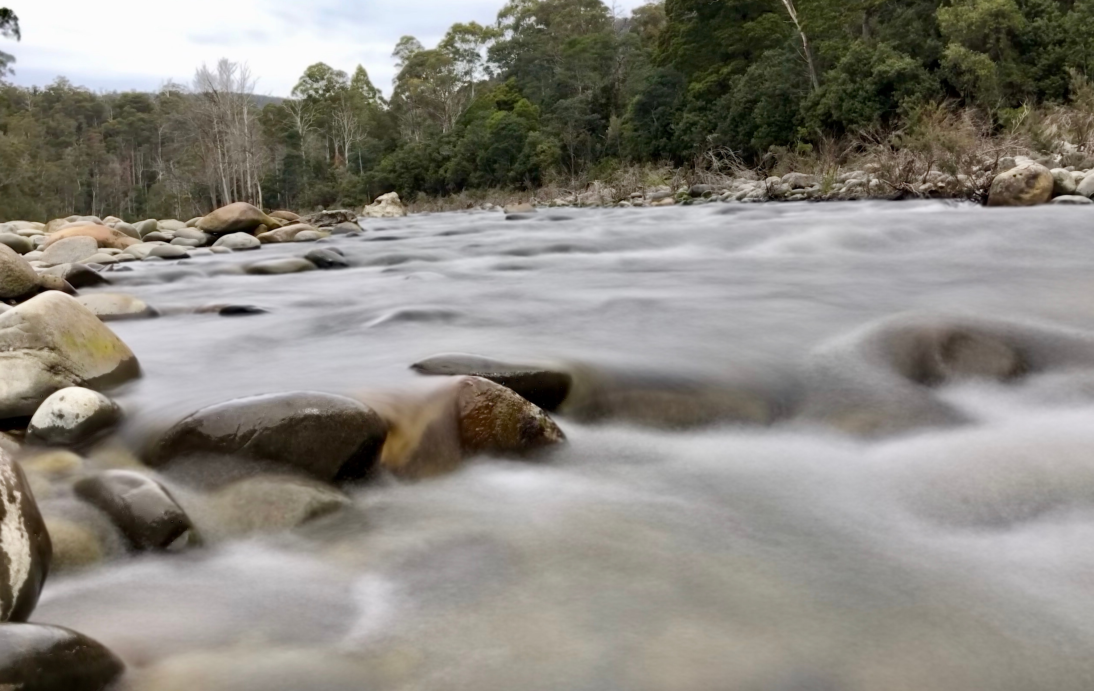 An image depicting the trail Mole Creek Karst National Park and its surrounding area.