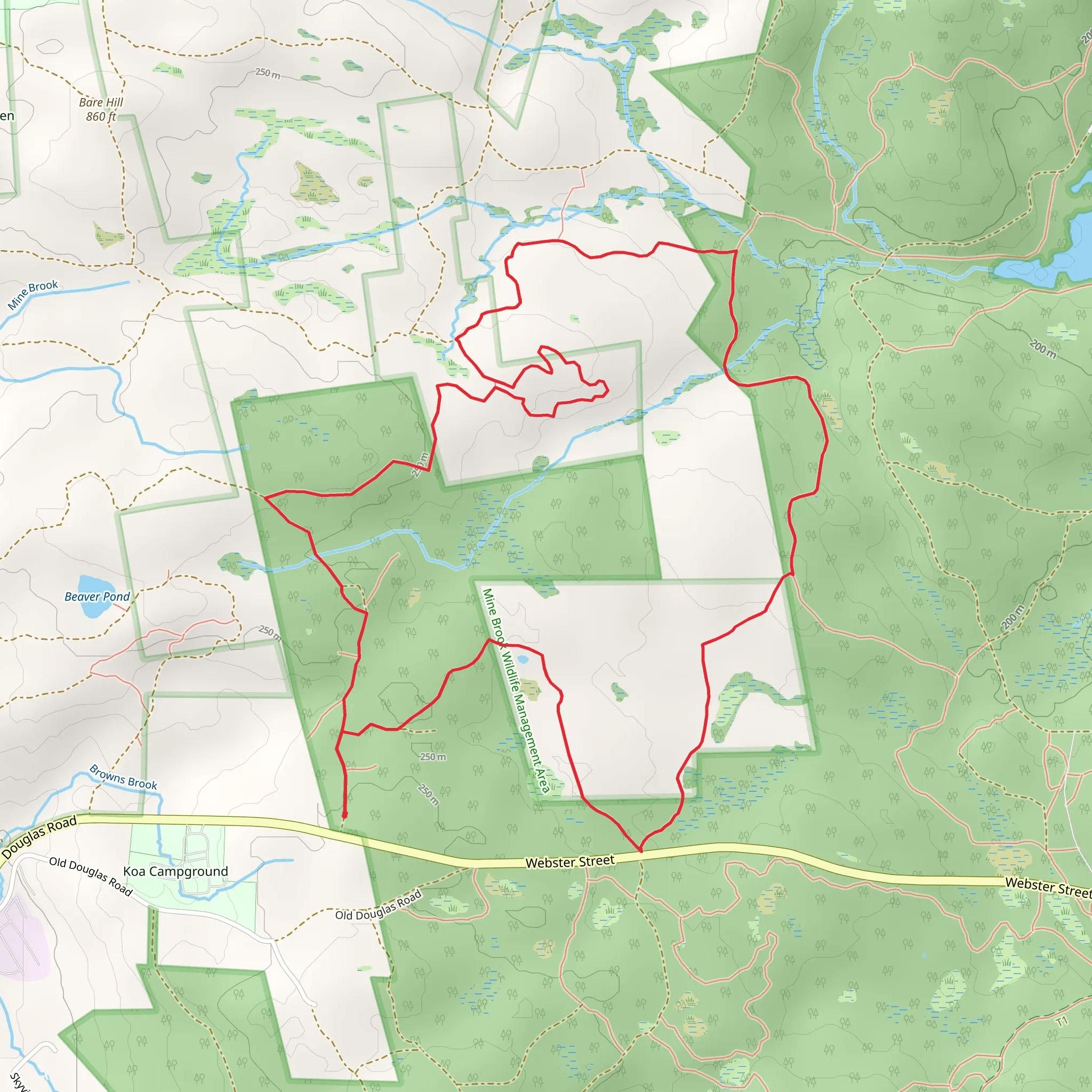 Mine Brook Wildlife Management Area Loop mobile static map