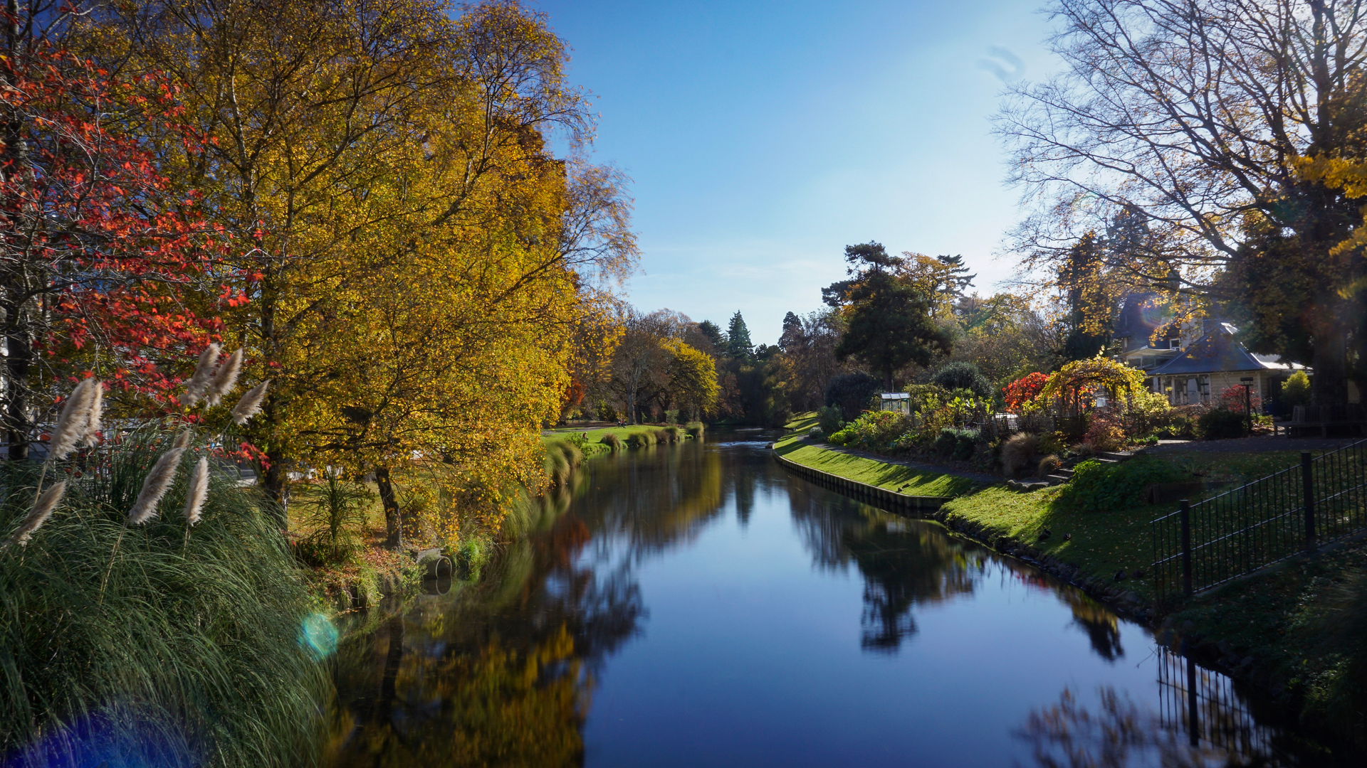An image depicting the trail Hagley Park Loop and its surrounding area.