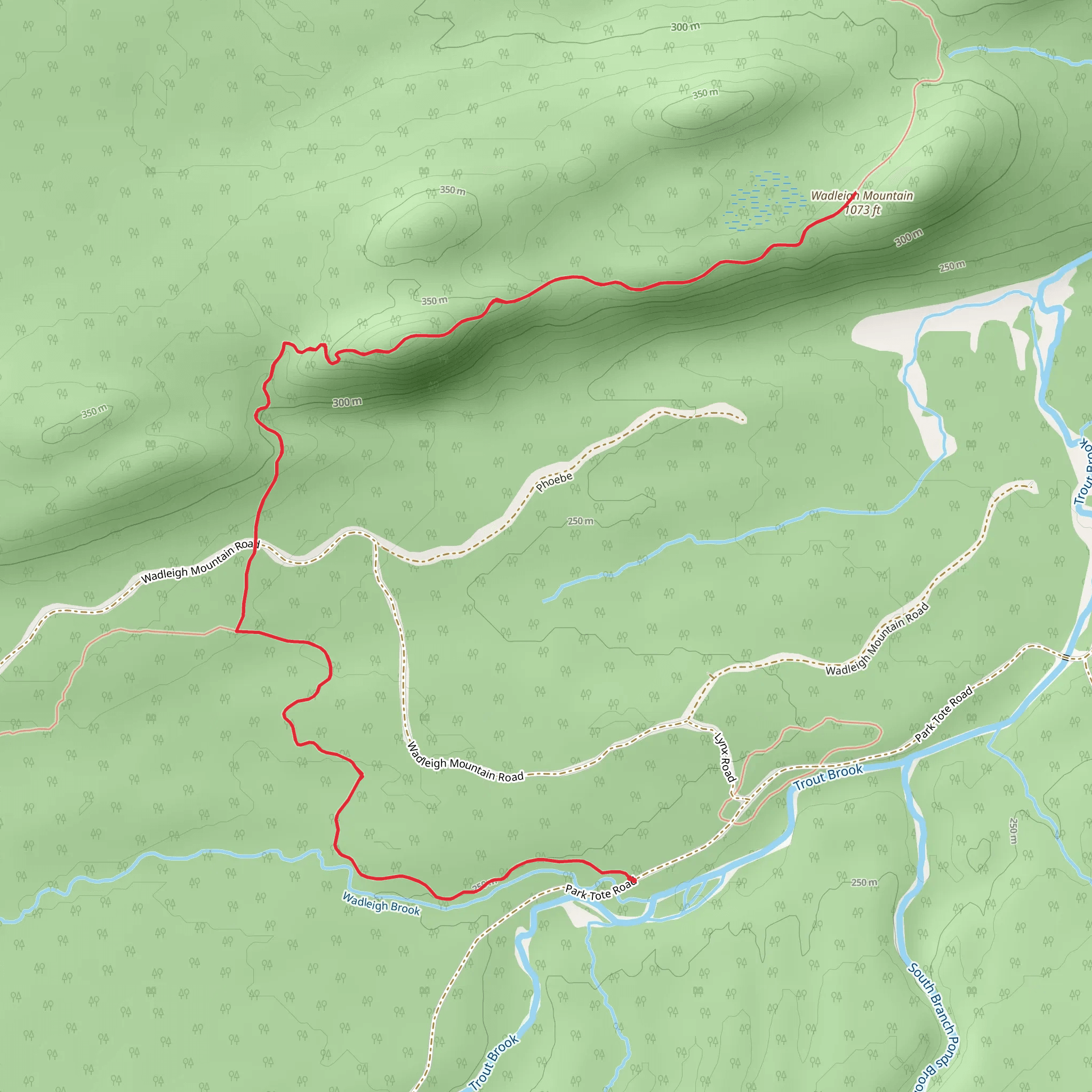 Wadleigh Mountain Trail mobile static map