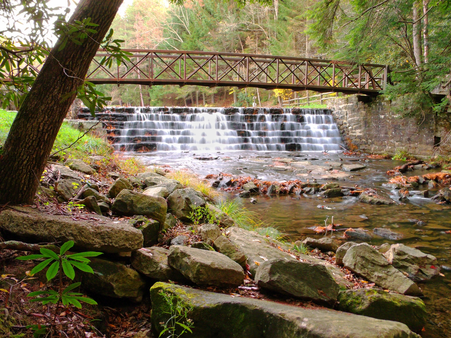 An image depicting the trail Clear Creek and Tadler Loop and its surrounding area.