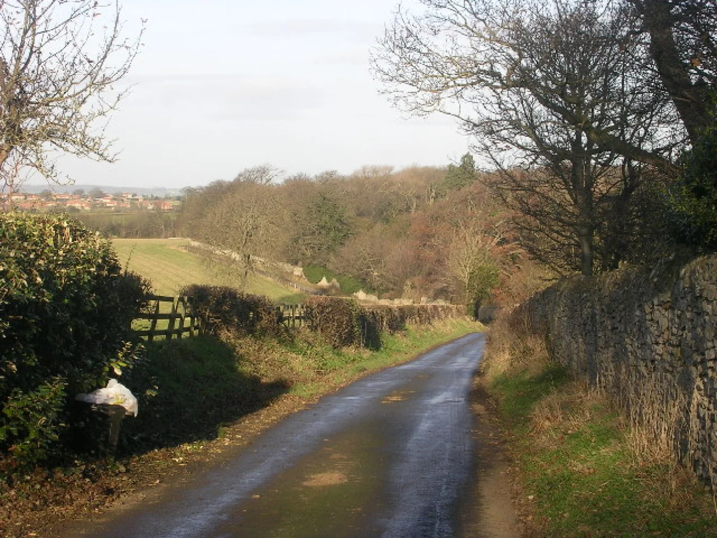 An image depicting the trail Forcett Country Park and Wast Layton Country Park Loop and its surrounding area.