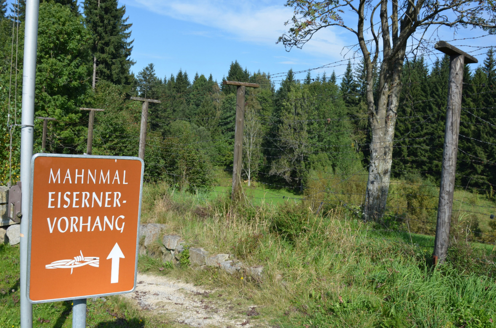 An image depicting the trail S9 Traum Arena Weg and its surrounding area.