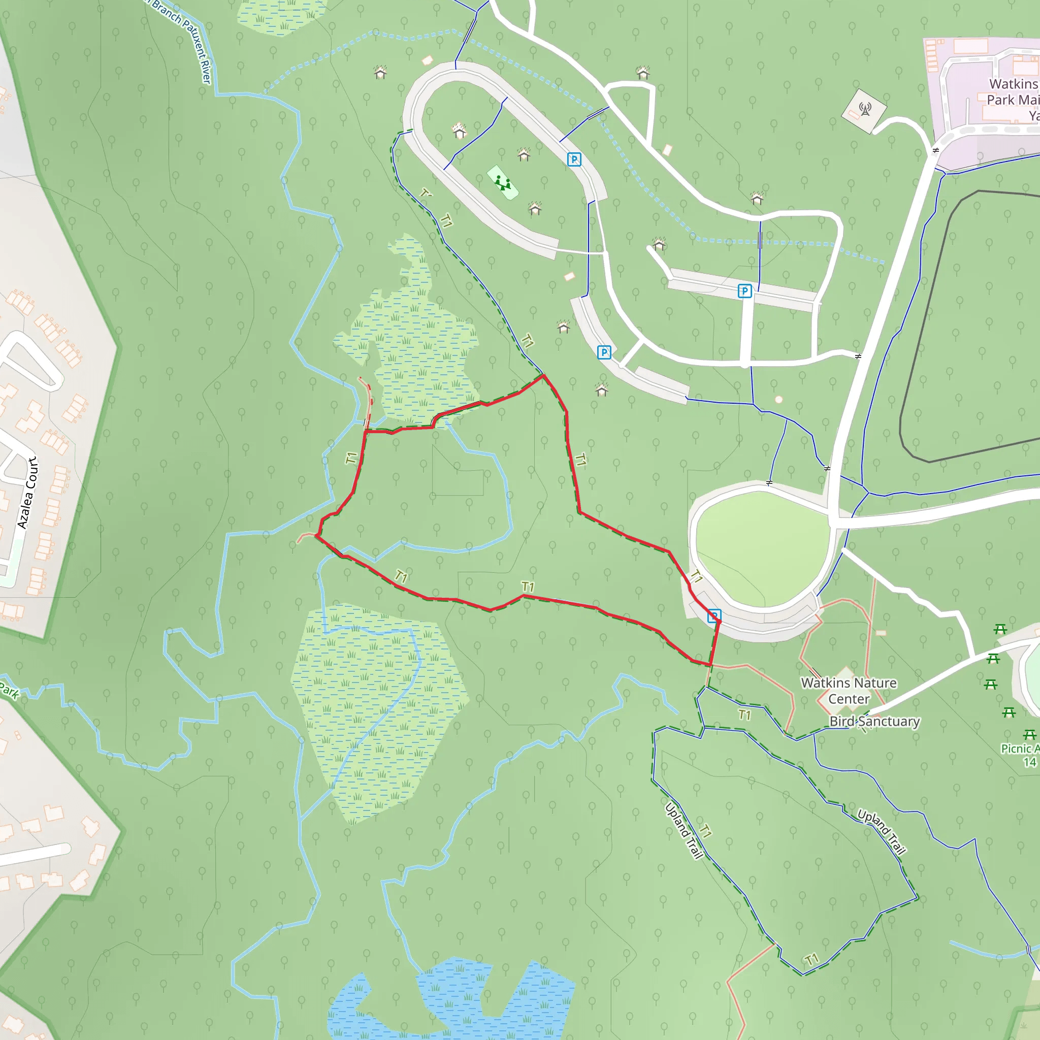 Wetland Loop Trail mobile static map