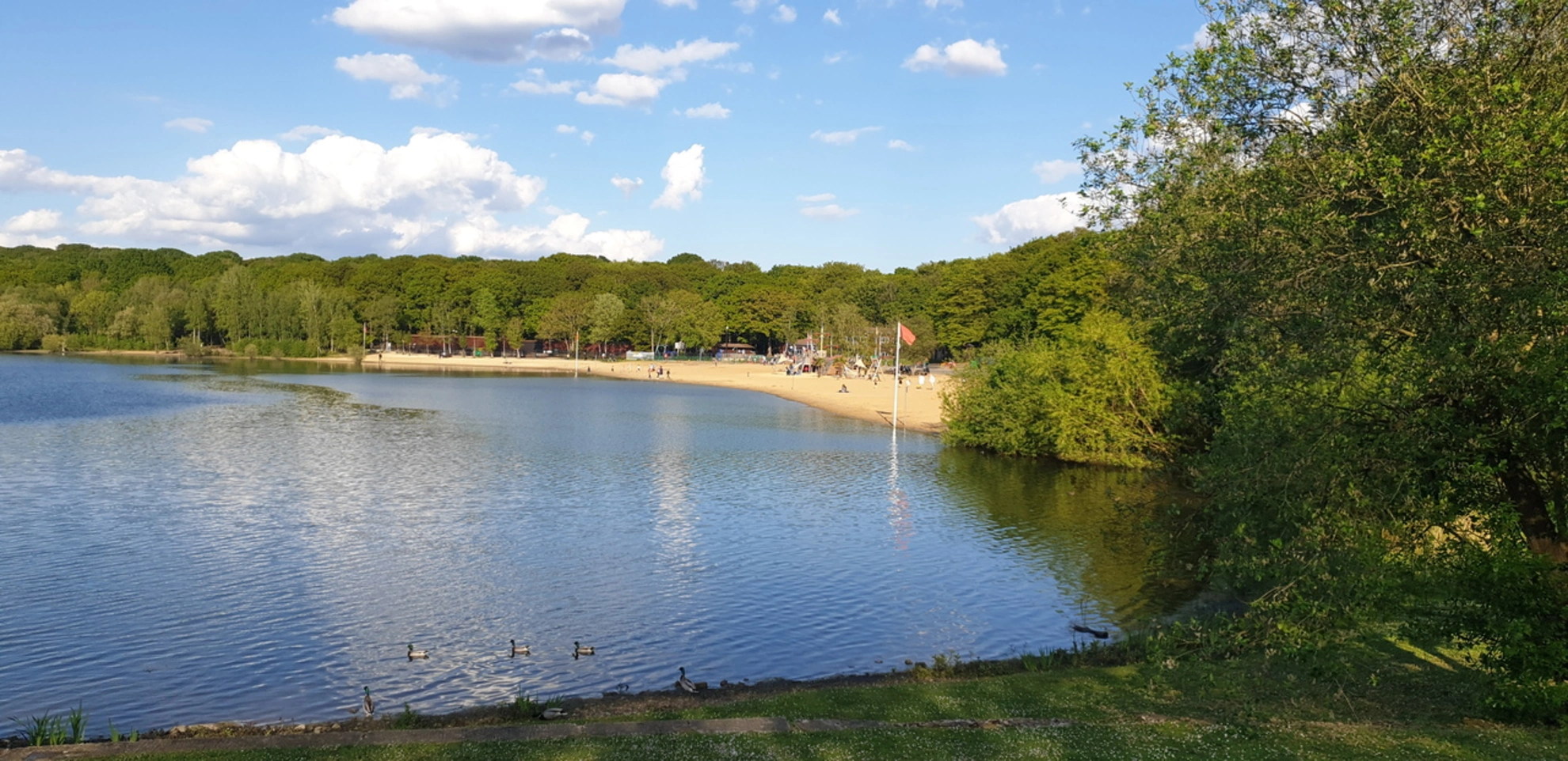 An image depicting the trail Ruislip Lido Loop and its surrounding area.