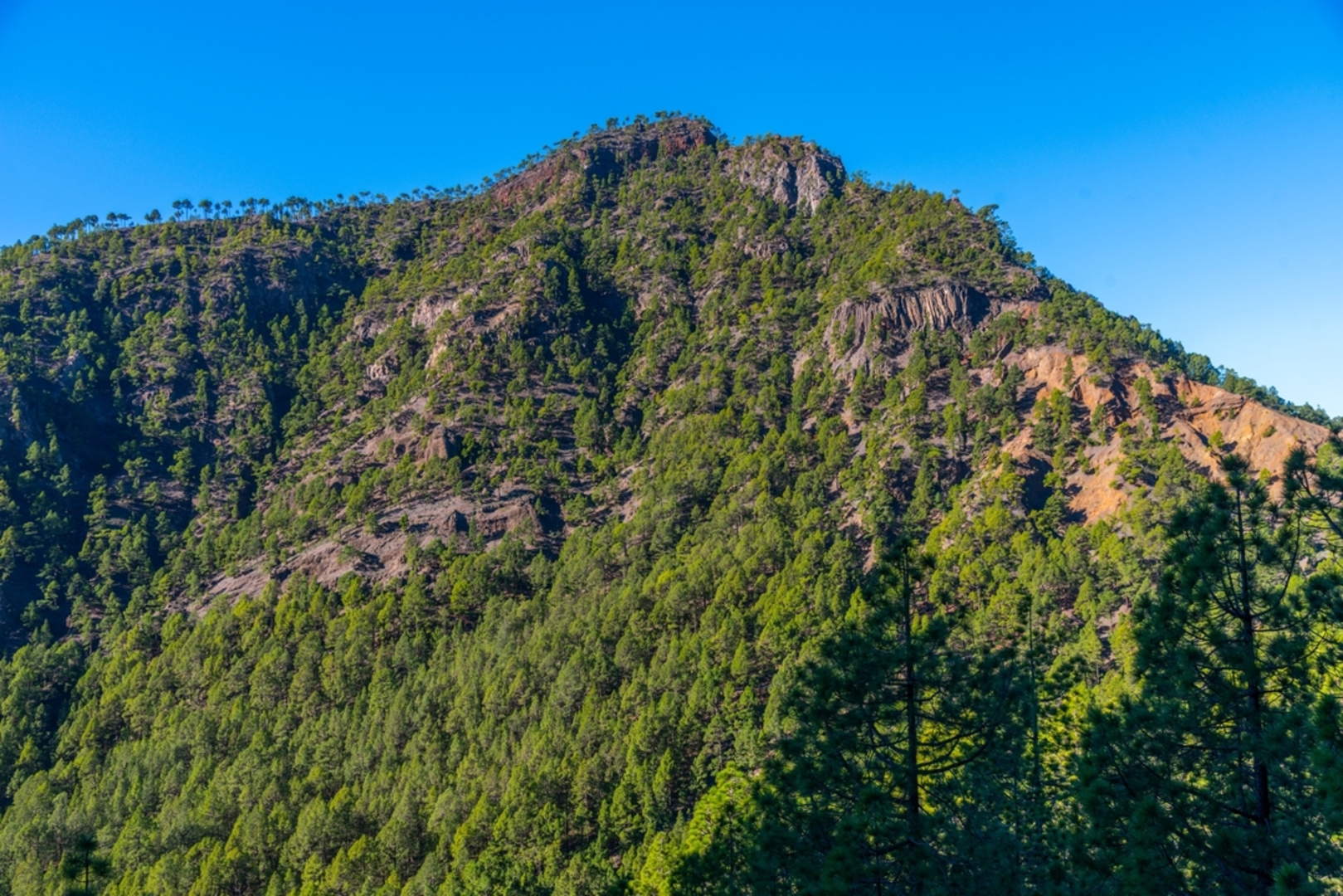 An image depicting the trail Pico Bejenado Loop from Buenavista de Arriba and its surrounding area.