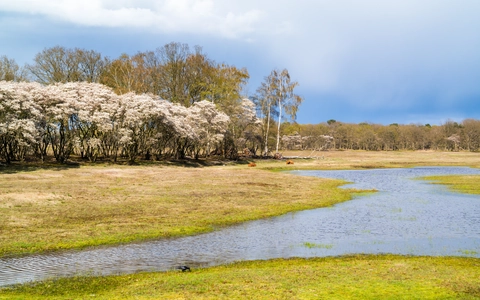 Erfgooiersbos, Dassenbos and Wasmeer Loop