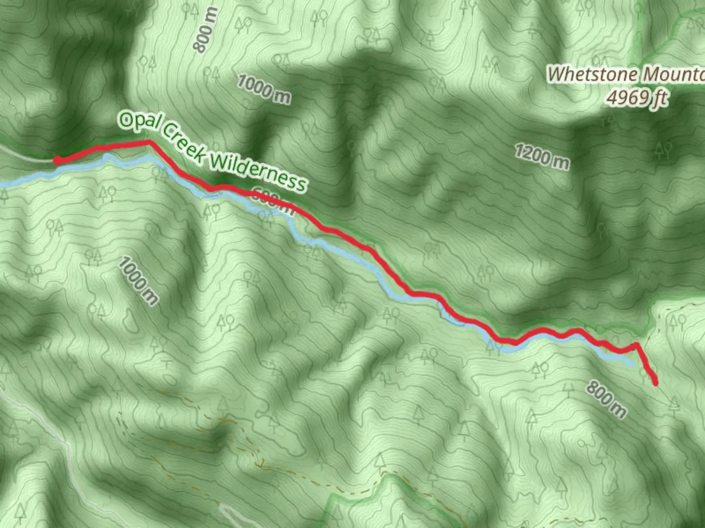 An image depicting the trail Walk along Little North Santiam River and its surrounding area.