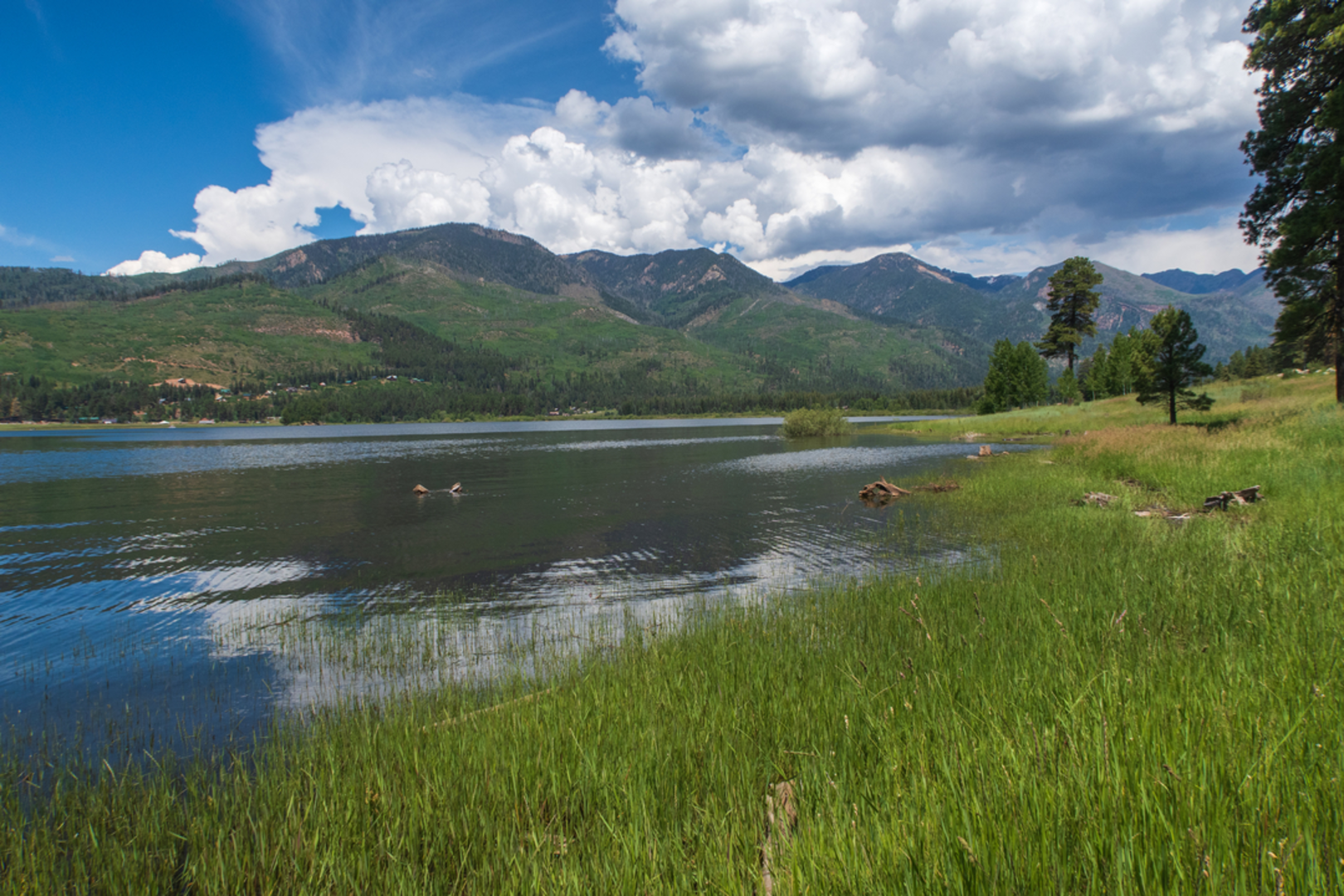 An image depicting the trail Vallecito Vis Trail and its surrounding area.