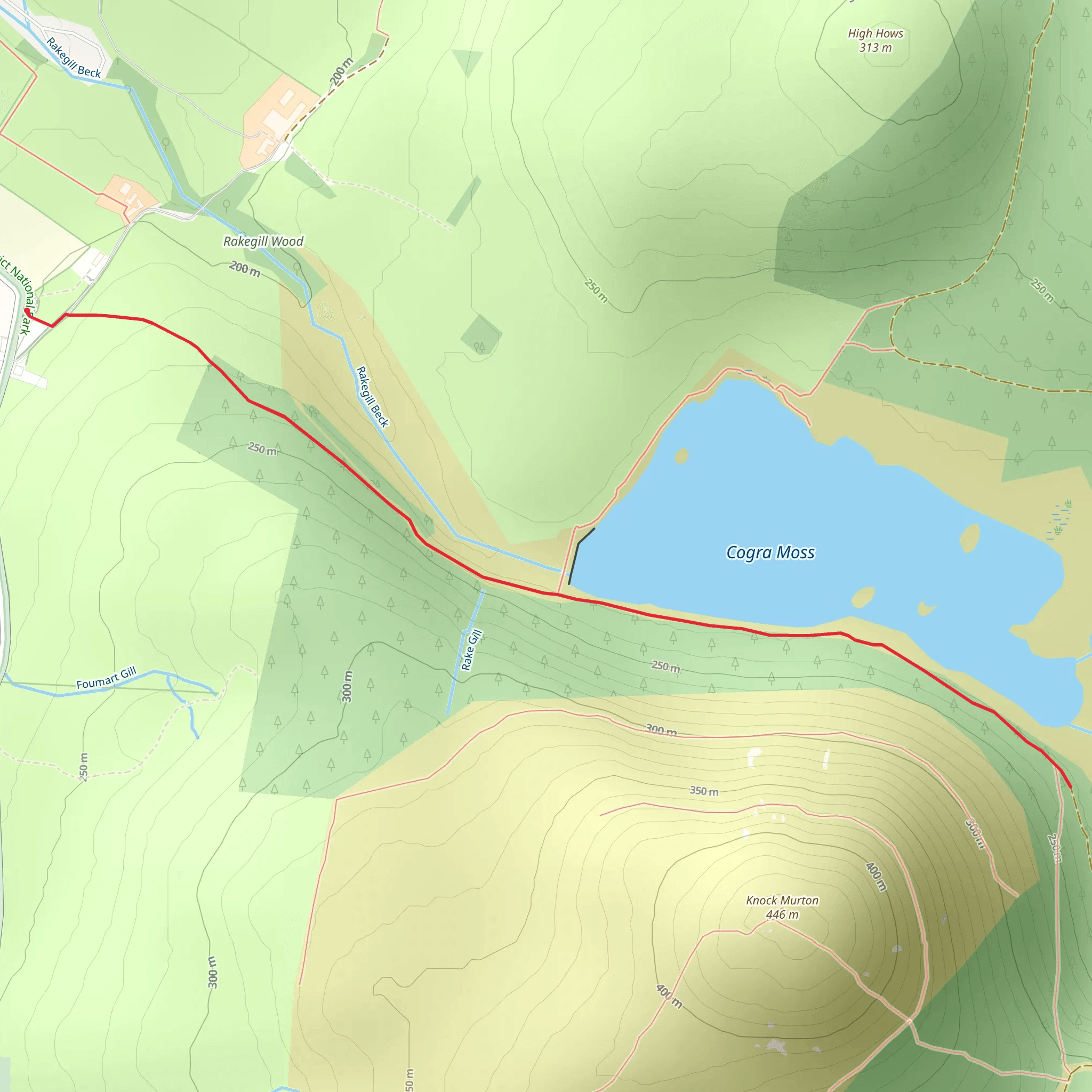 Cogra Moss Walk mobile static map