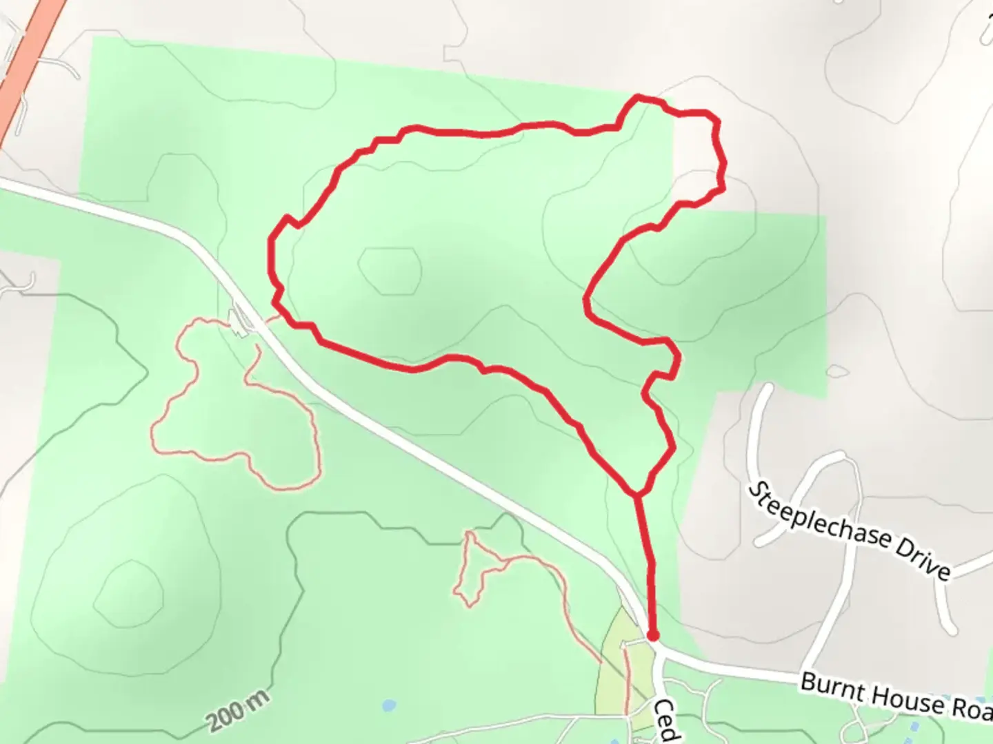 An image depicting the trail Cedar Forest Loop Trail and its surrounding area.
