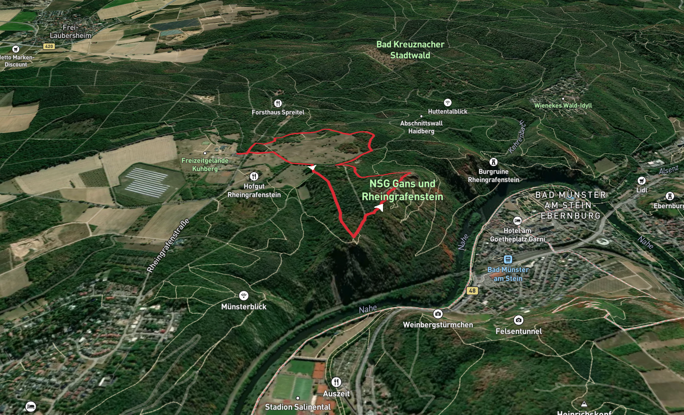 Schloss Rheingrafenstein and Gans Loop