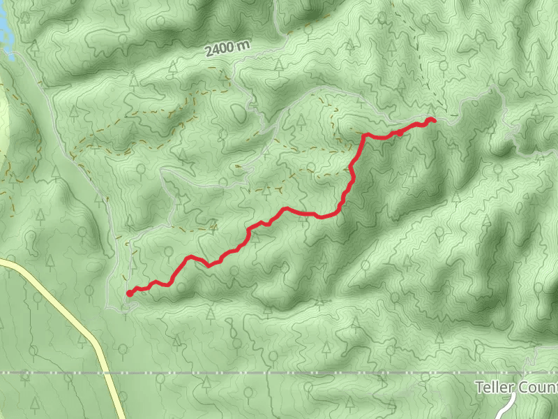 Forest Road 344 from South Rainbow Falls Road