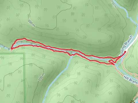 Mill Branch Loop Trail