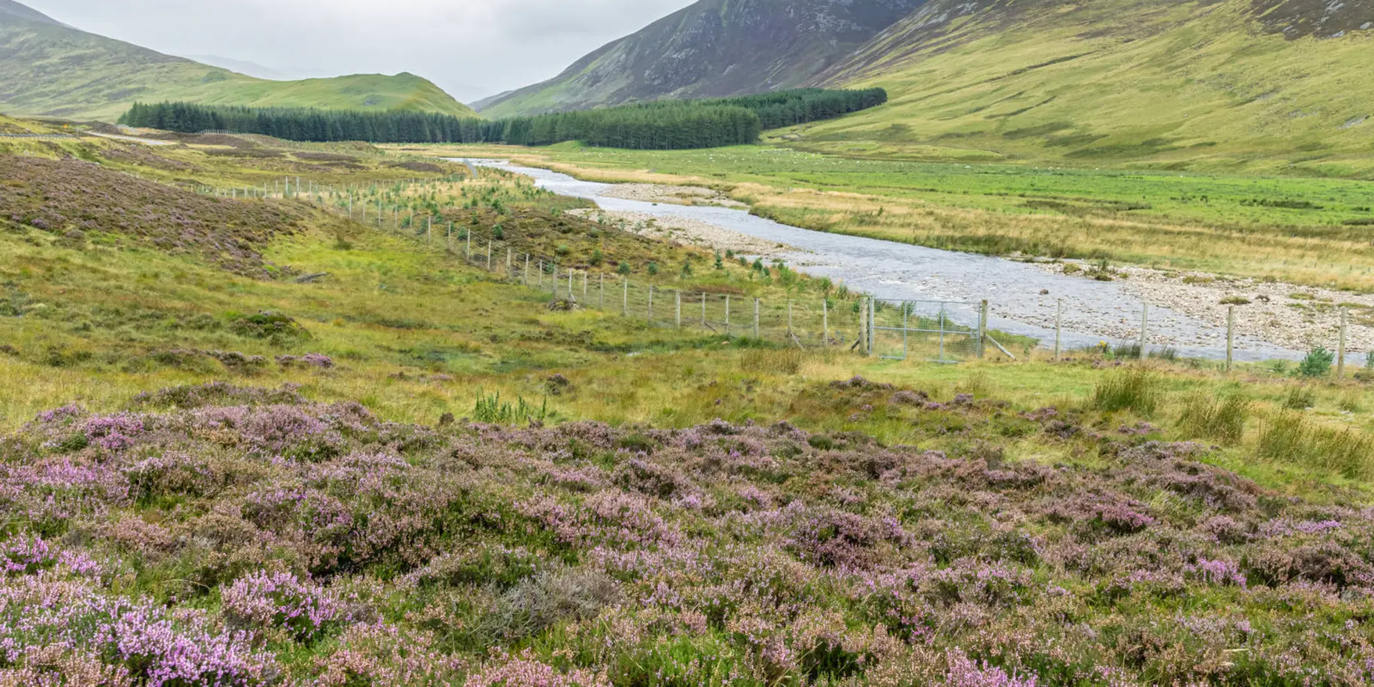 An image depicting the trail Morrone Route and its surrounding area.