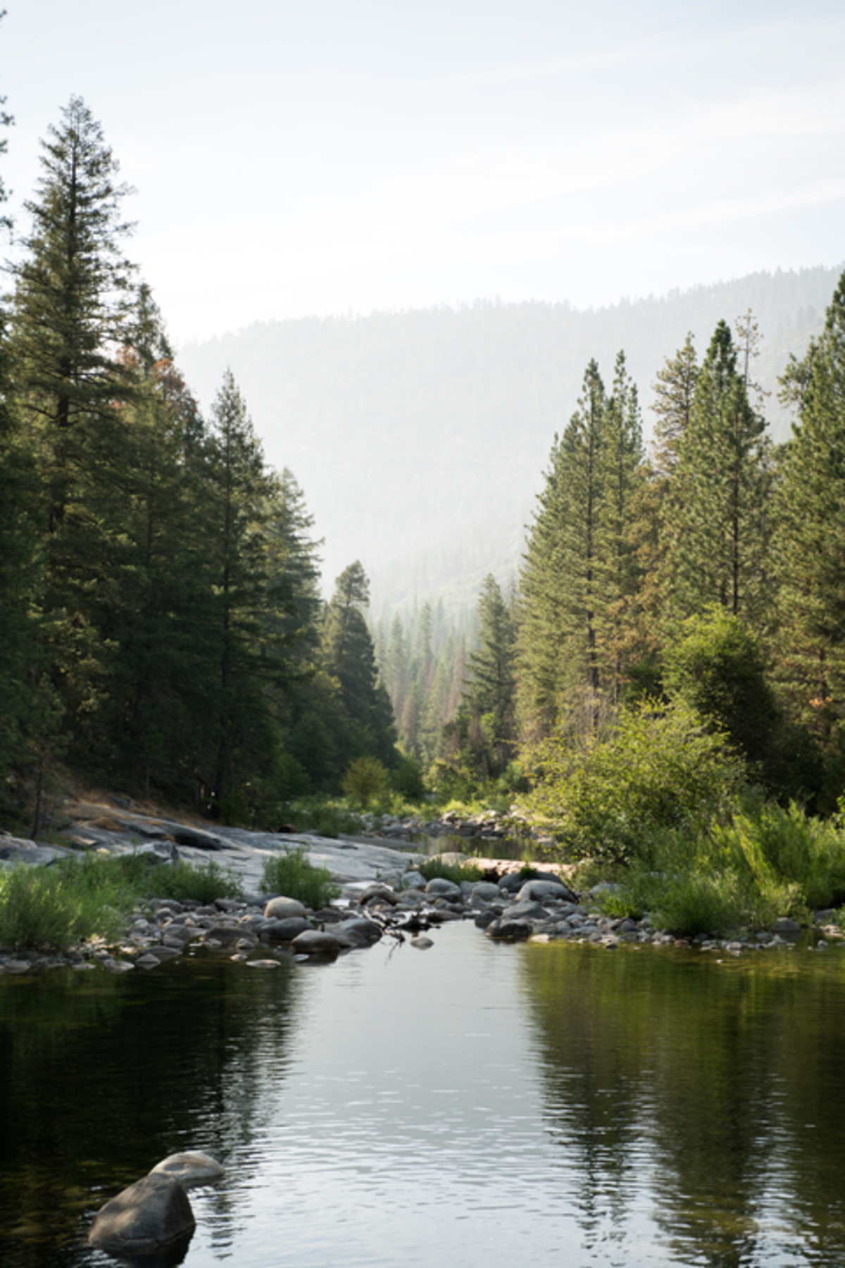 Wawona Swinging Bridge Trail