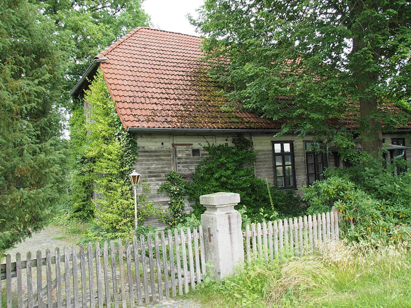 An image depicting the trail Queloh Loop and its surrounding area.