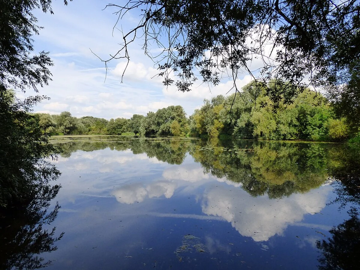 Priory Country Park and Lake Loop