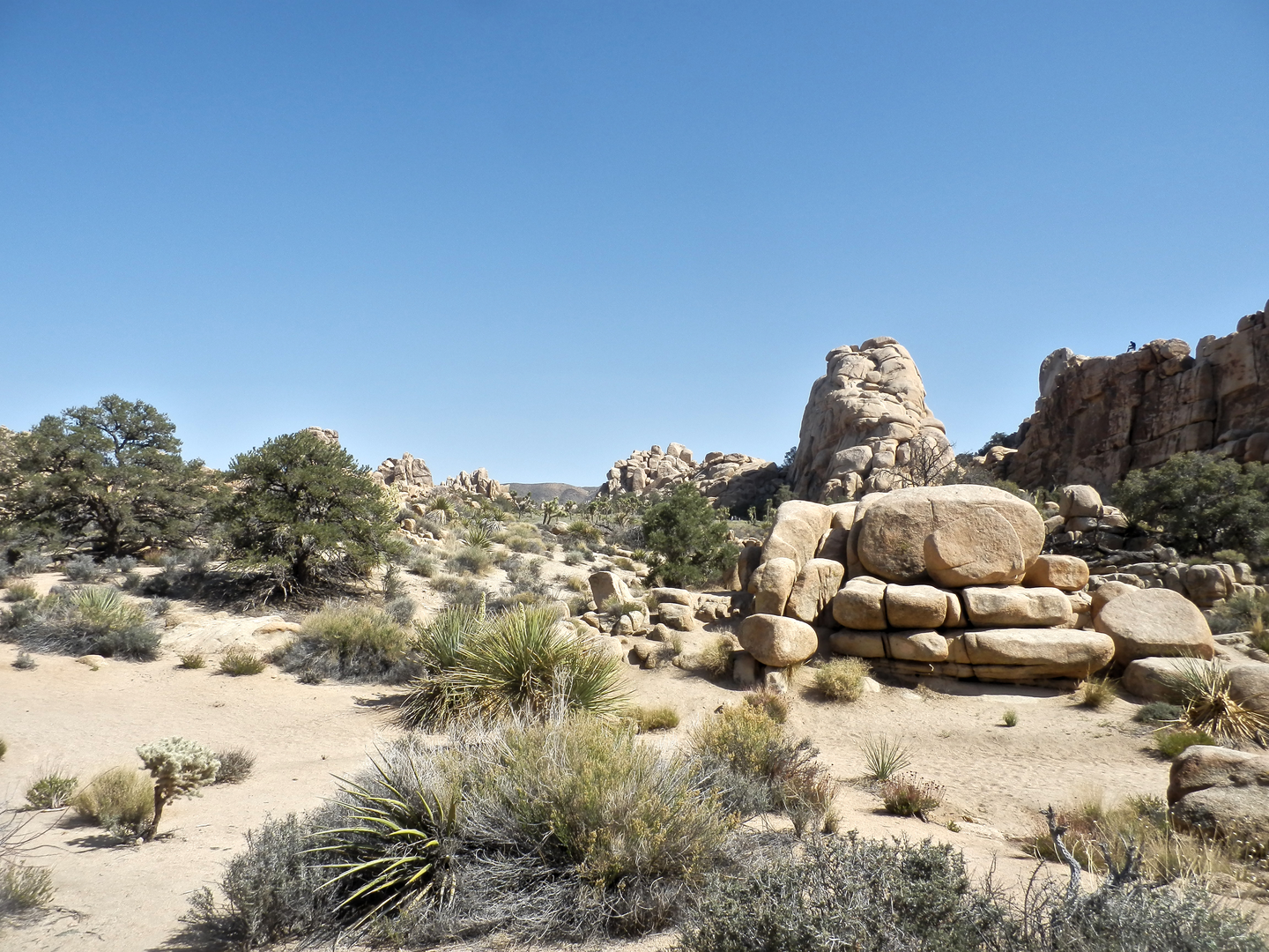 An image depicting the trail West Access Trail and its surrounding area.