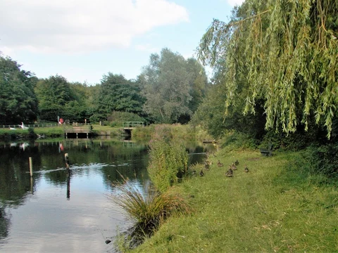 An image depicting the trail Vicar Pond, Bower Hill Wood and Vicar Water Country Park Walk and its surrounding area.