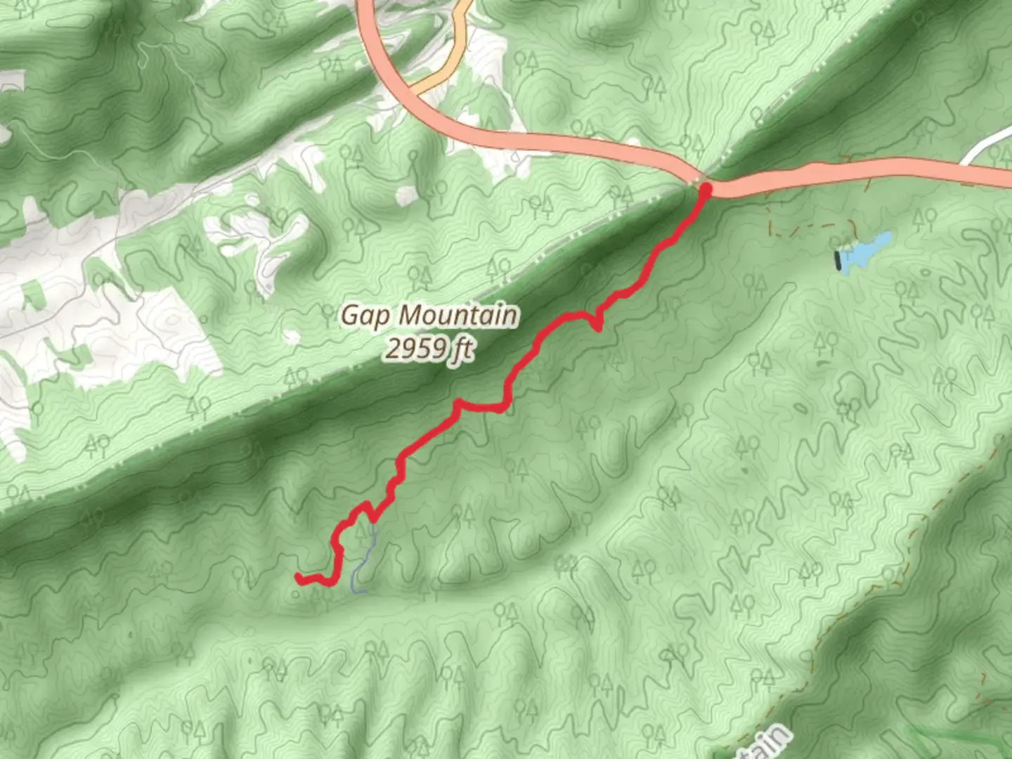 An image depicting the trail Trillium Trail via Prickley Pear Trail and its surrounding area.