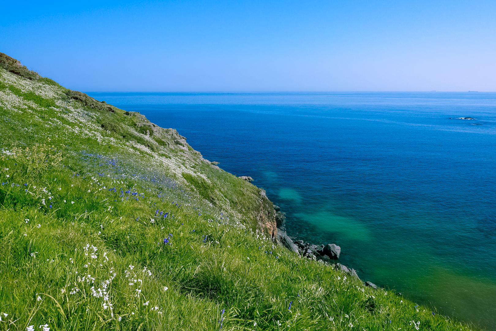 An image depicting the trail Three Sides of The Lizard Walk and its surrounding area.