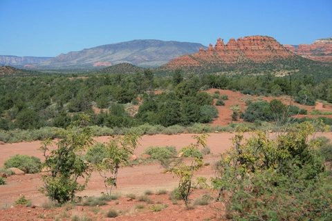 An image depicting the trail Deadman Pocket Trail via Sycamore Canyon Trail and its surrounding area.
