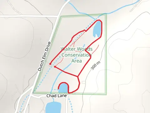 Dutch Elm Drive Loop