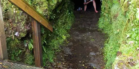 An image depicting the trail Tatare Tunnels Walk and its surrounding area.