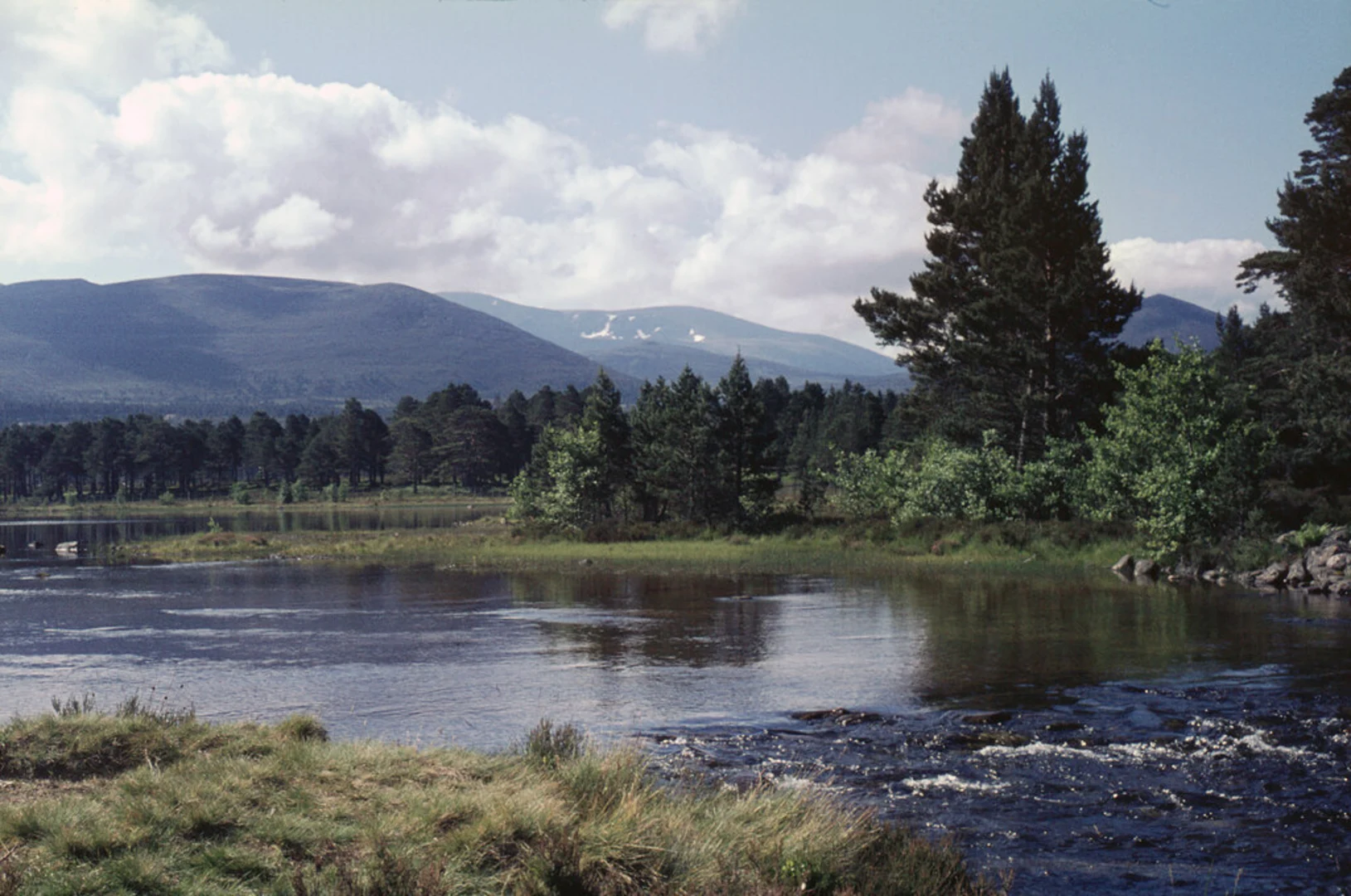 An image depicting the trail Glenmore Forest Park Loop and its surrounding area.