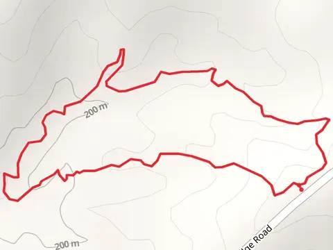 Porter Ridge Road Loop